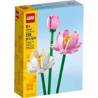 Lotus Flowers - 40647