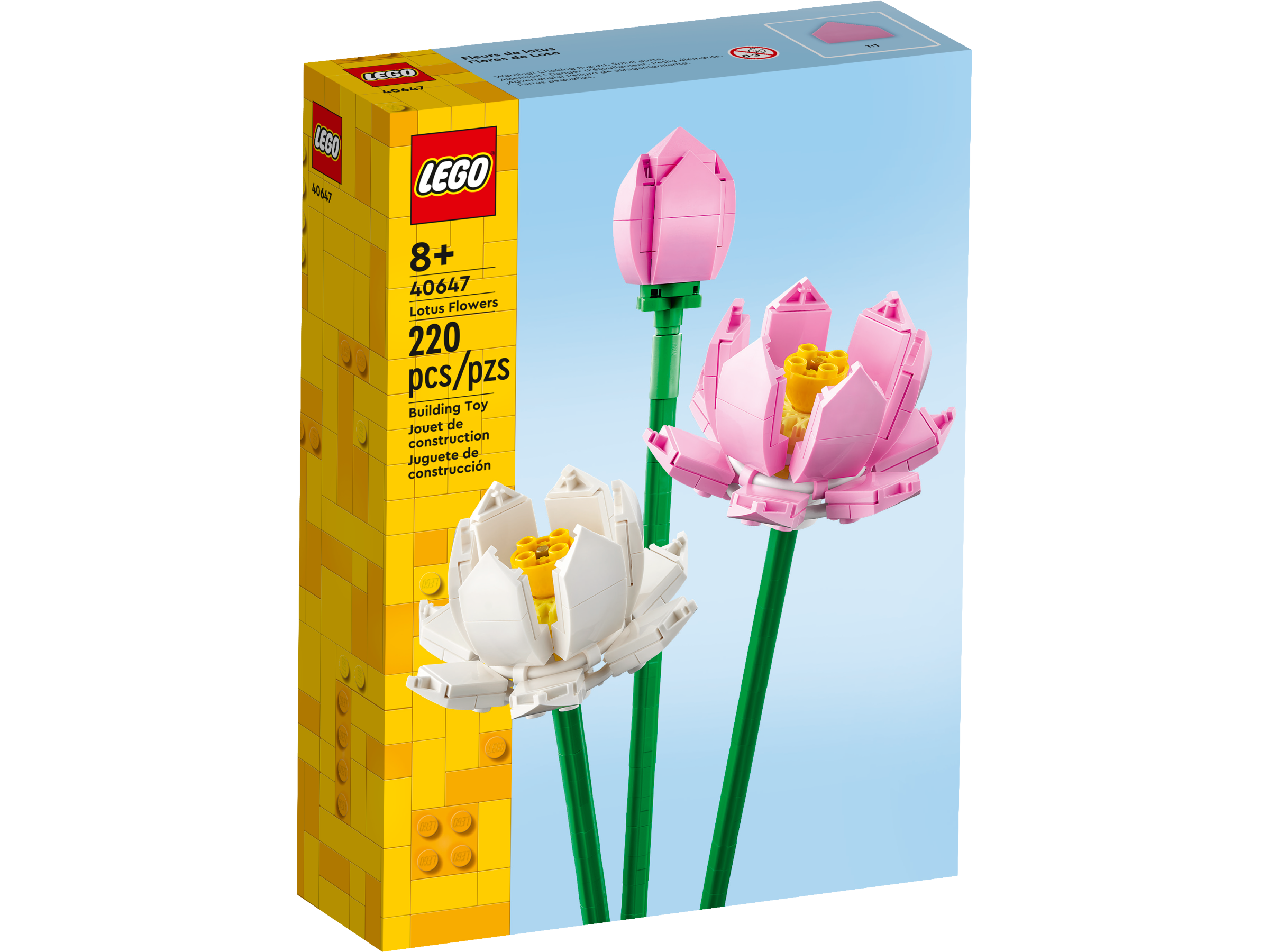 Lotus Flowers - 40647