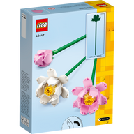 Lotus Flowers - 40647