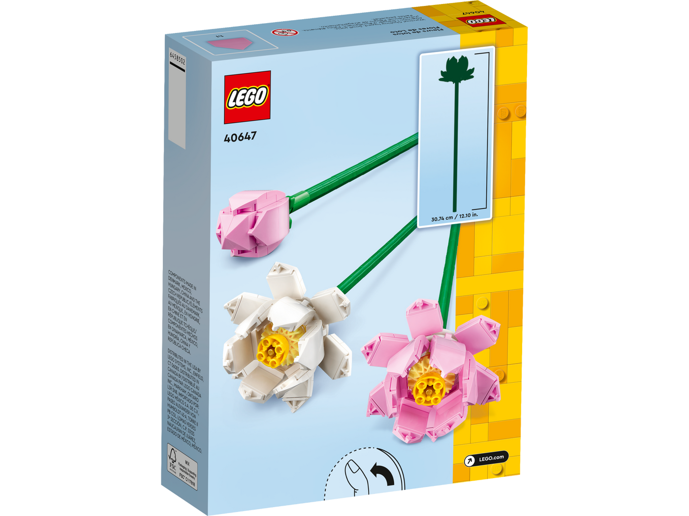 Lotus Flowers - 40647
