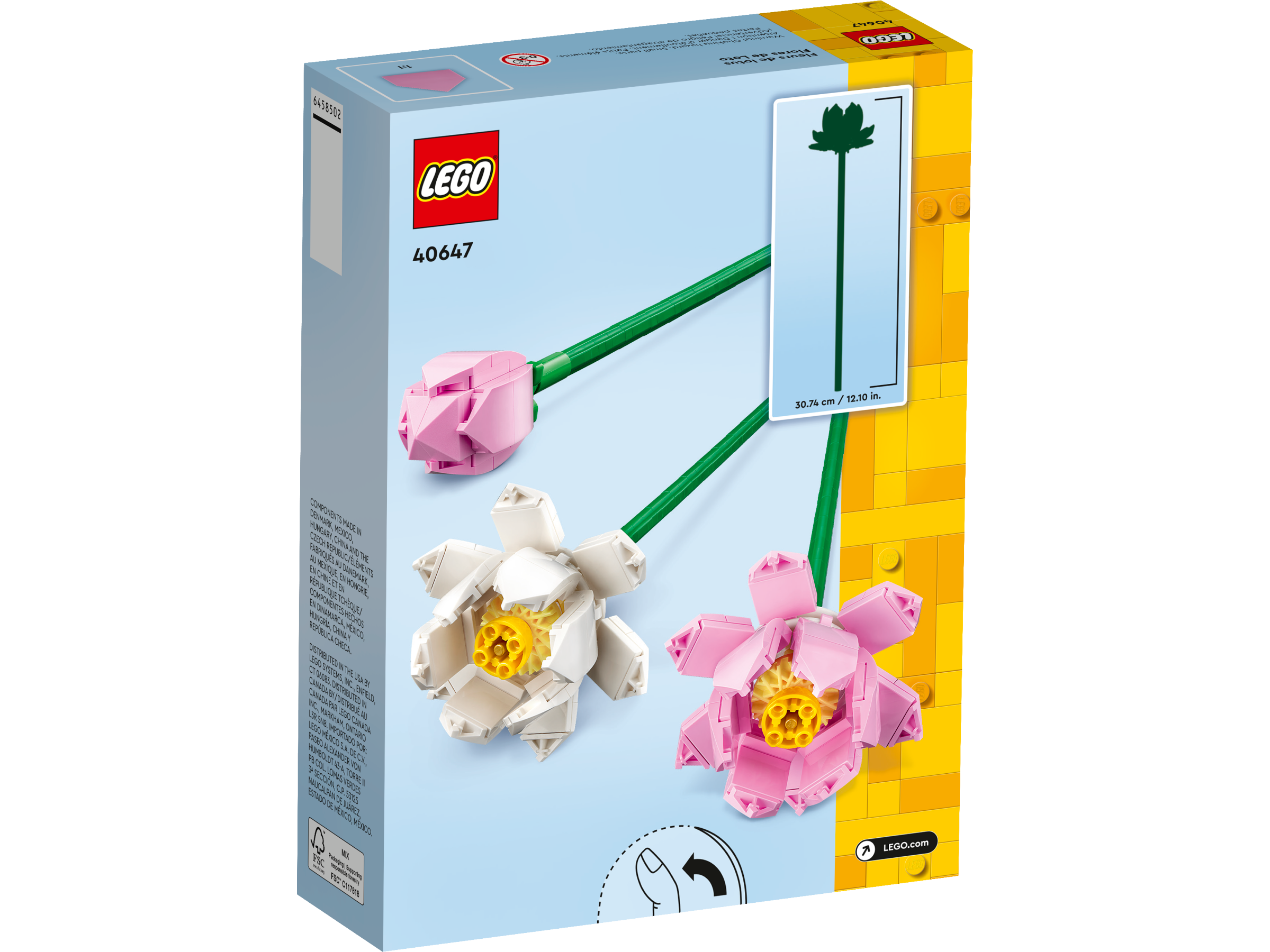 Lotus Flowers - 40647